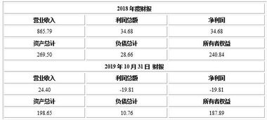 天津建設工程監理公司轉讓項目921104 機遇與風險分析