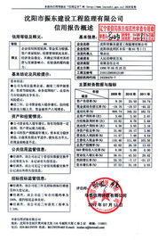 沈陽市振東建設工程監理有限公司 專業護航，鑄就精品工程